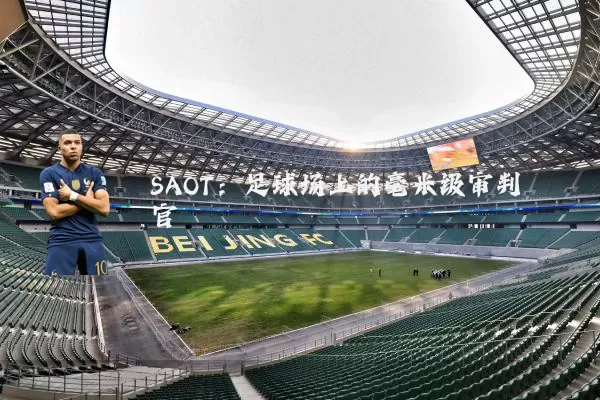 SAOT:足球场上的毫米级审判官